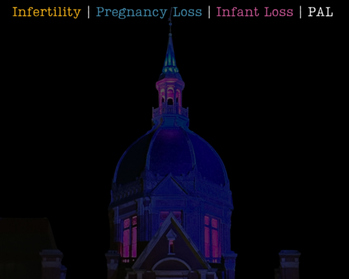 Pregnancy and infant loss awareness landmarks lighting up pink and blue across the United States including Niagara Falls — Chasing the Rainbows October awareness campaign — honoring every baby lost to miscarriage stillbirth SIDS and infant death — every baby loss matters