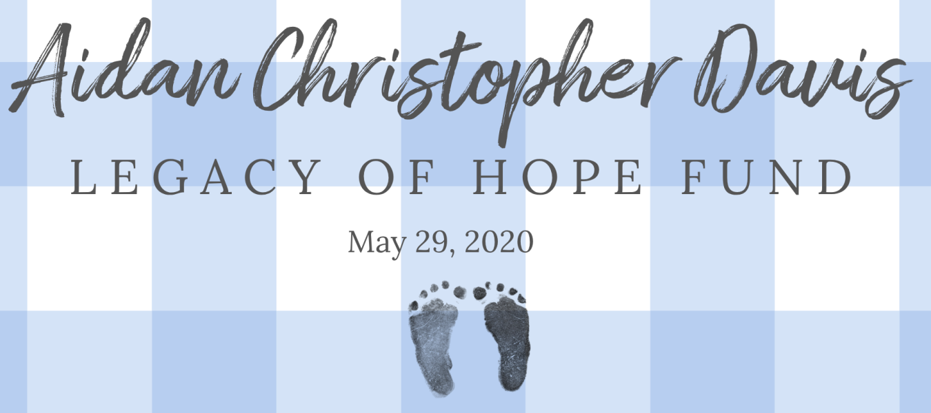 Named legacy donor advised fund providing free therapy for families experiencing infertility, miscarriage, stillbirth, pregnancy loss and infant loss in memory of a baby.